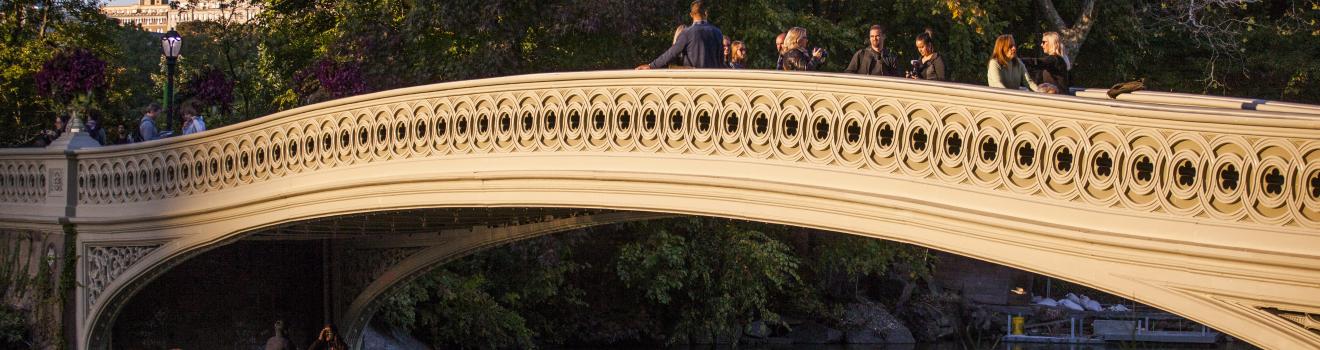 中央公園標誌性的橋樑之一