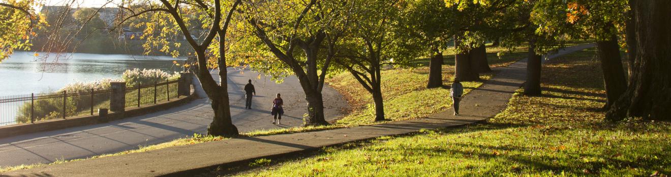 於馬里蘭州巴爾的摩的德魯伊山公園漫步 於馬里蘭州巴爾的摩的德魯伊山公園漫步