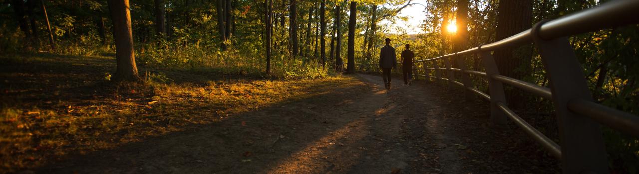 紐約州尼加拉瀑布附近的健行步道