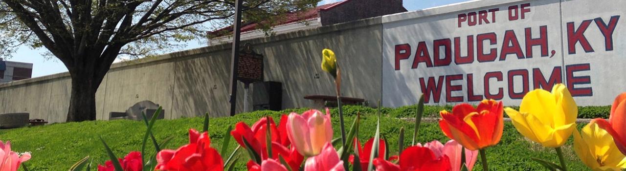 Welcoming tulips outside the Port of Paducah and riverfront Welcoming tulips outside the Port of Paducah and riverfront
