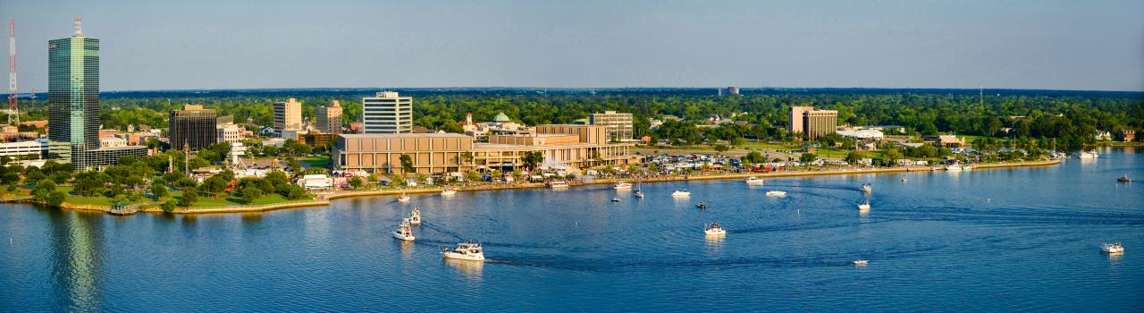 Aerial view of the lakefront Aerial view of the lakefront