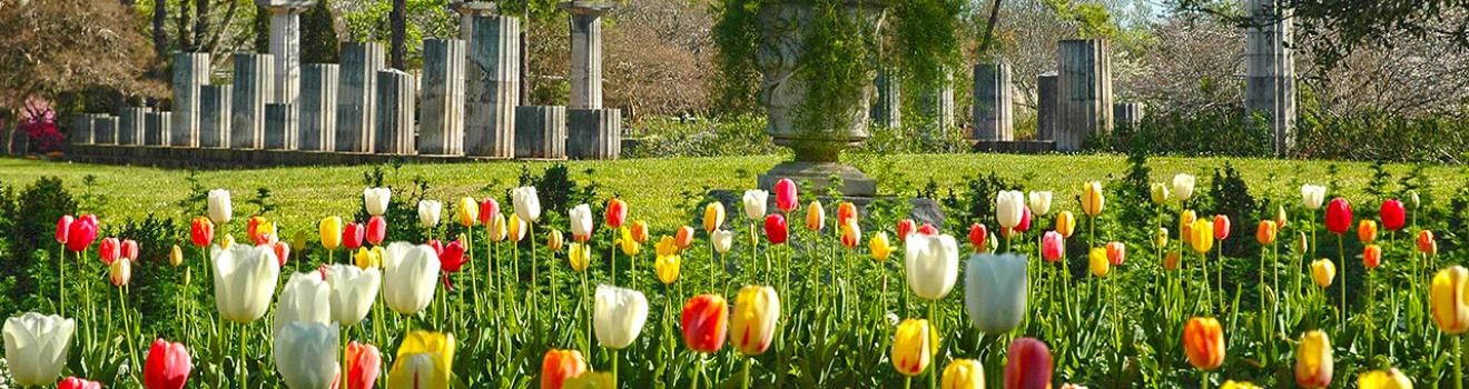 蒙哥馬利茉莉丘花園與戶外博物館的鬱金香和希拉女神廟廢墟復刻品
