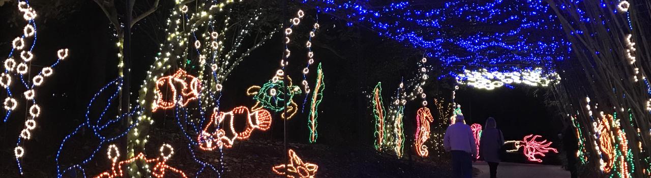 A colorful light display at Bellingrath Gardens & Home in Mobile, Alabama