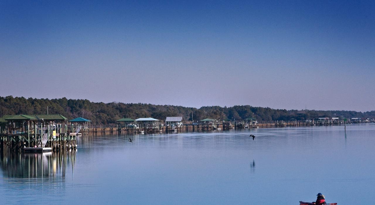 在南卡羅萊納州的芒特普林森靜靜地划著獨木舟