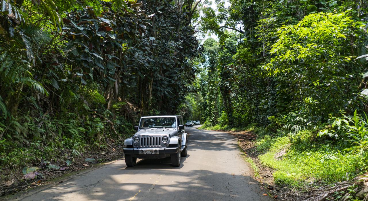 A Jeep is an ideal vehicle for a road trip through Hawaii’s lush landscapes A Jeep is an ideal vehicle for a road trip through Hawaii’s lush landscapes