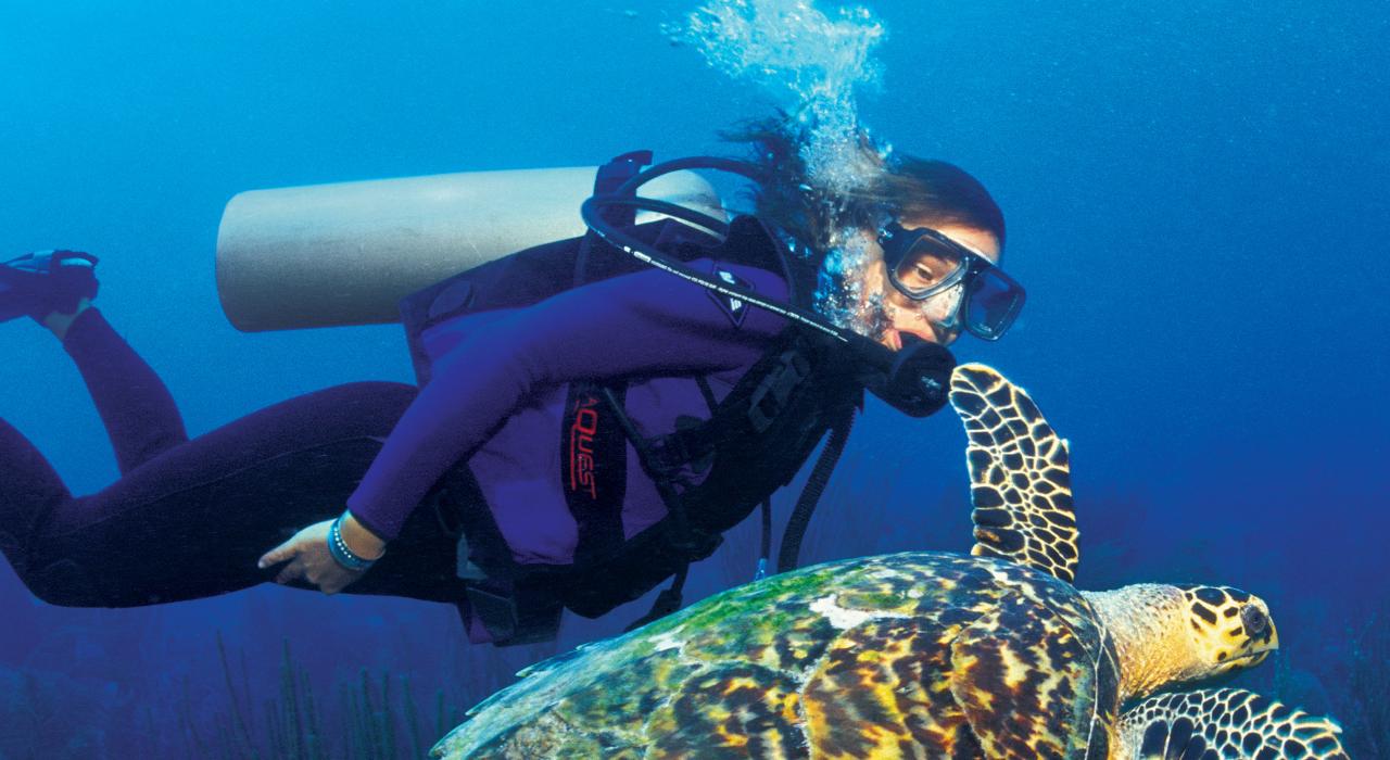 潛水員和玳瑁龜一起游泳
