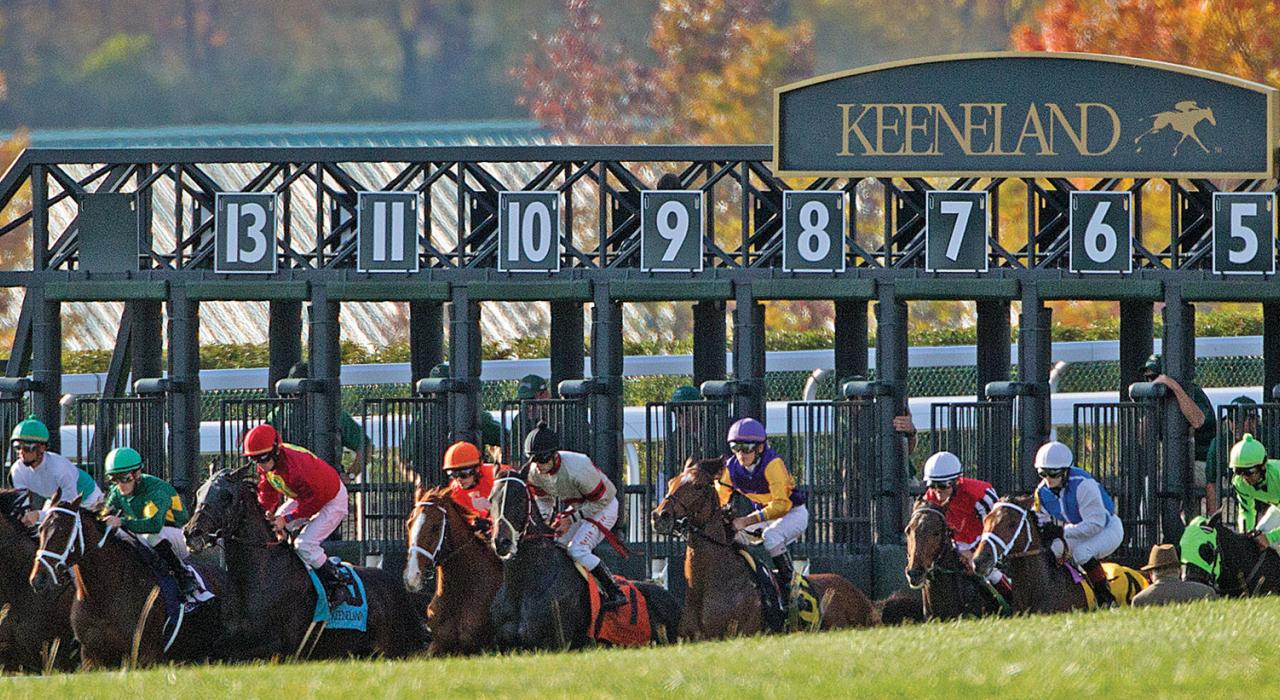 在肯塔基州的列克星敦，基恩蘭賽馬場的起跑柵門前賽馬開跑