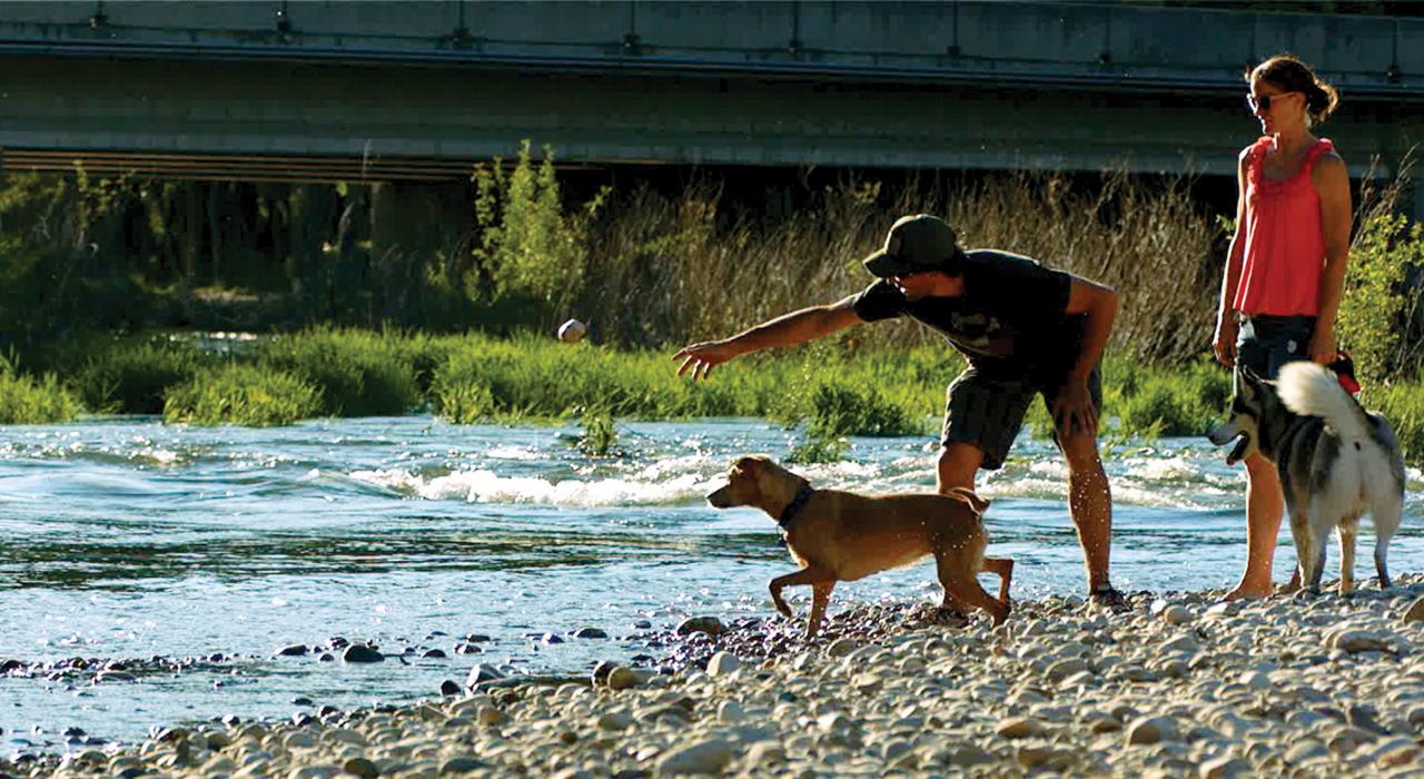 沿著博伊西河悠閒散步和玩丟撿遊戲