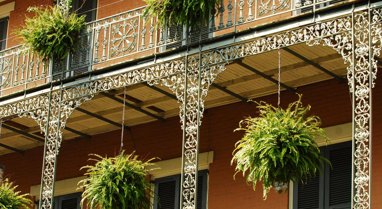 路易斯安那州紐奧良吊掛於法國區陽台上的蕨類植物