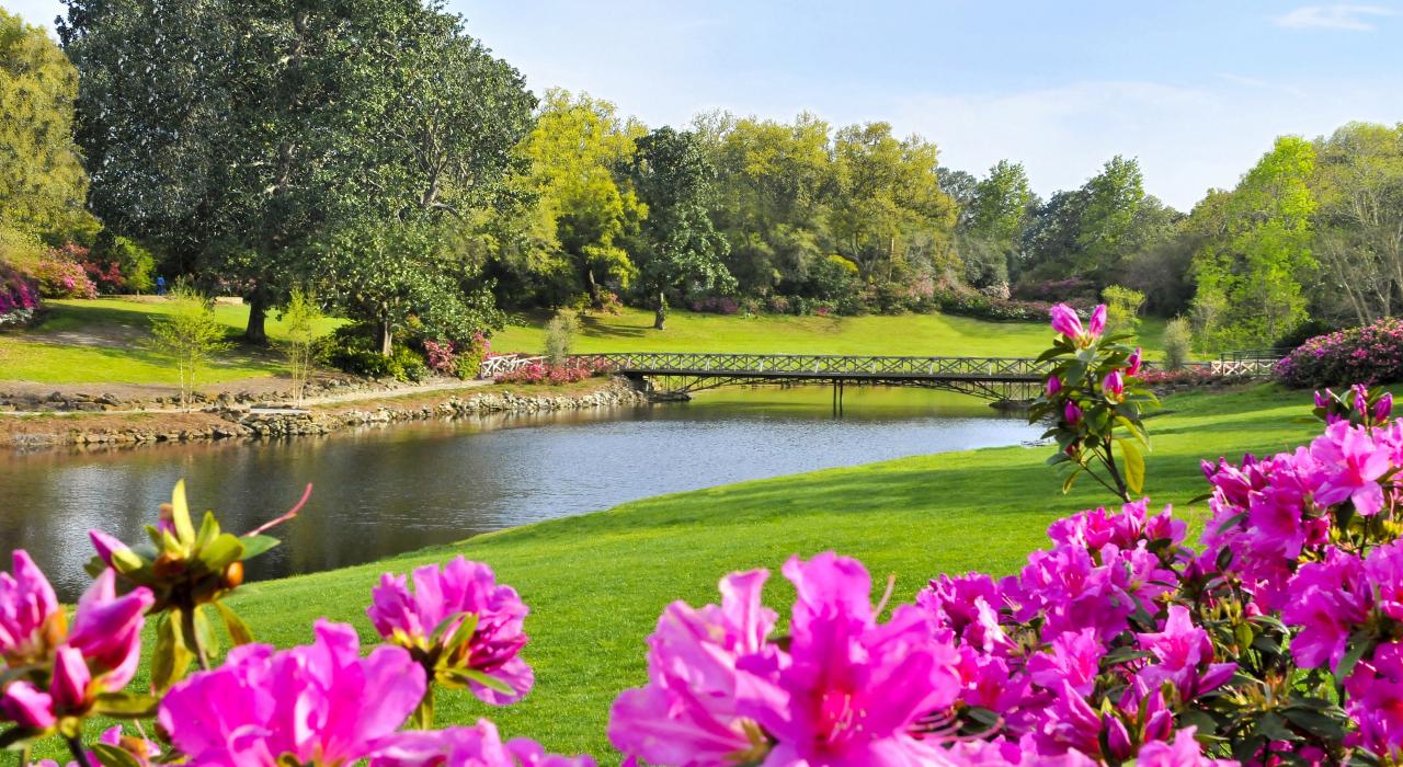 阿拉巴馬州莫比爾市面積達 26 公頃的貝林格拉思花園永遠花團錦簇 阿拉巴馬州莫比爾市面積達 26 公頃的貝林格拉思花園永遠花團錦簇