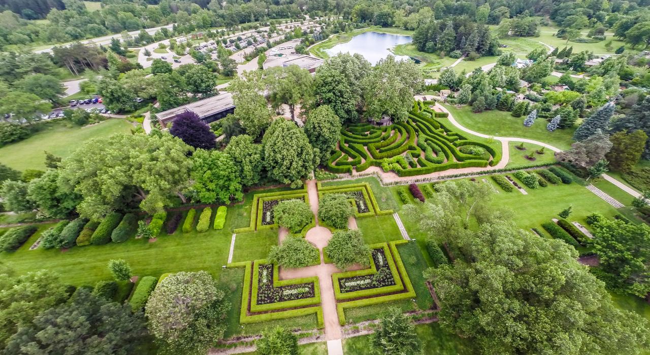 在莫頓植物園迷宮花園裡尋找隱密瑰寶