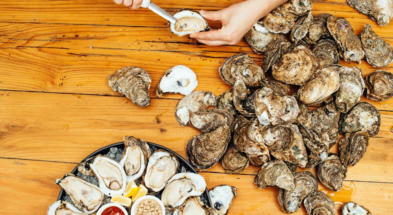 Shucking Gulf oysters