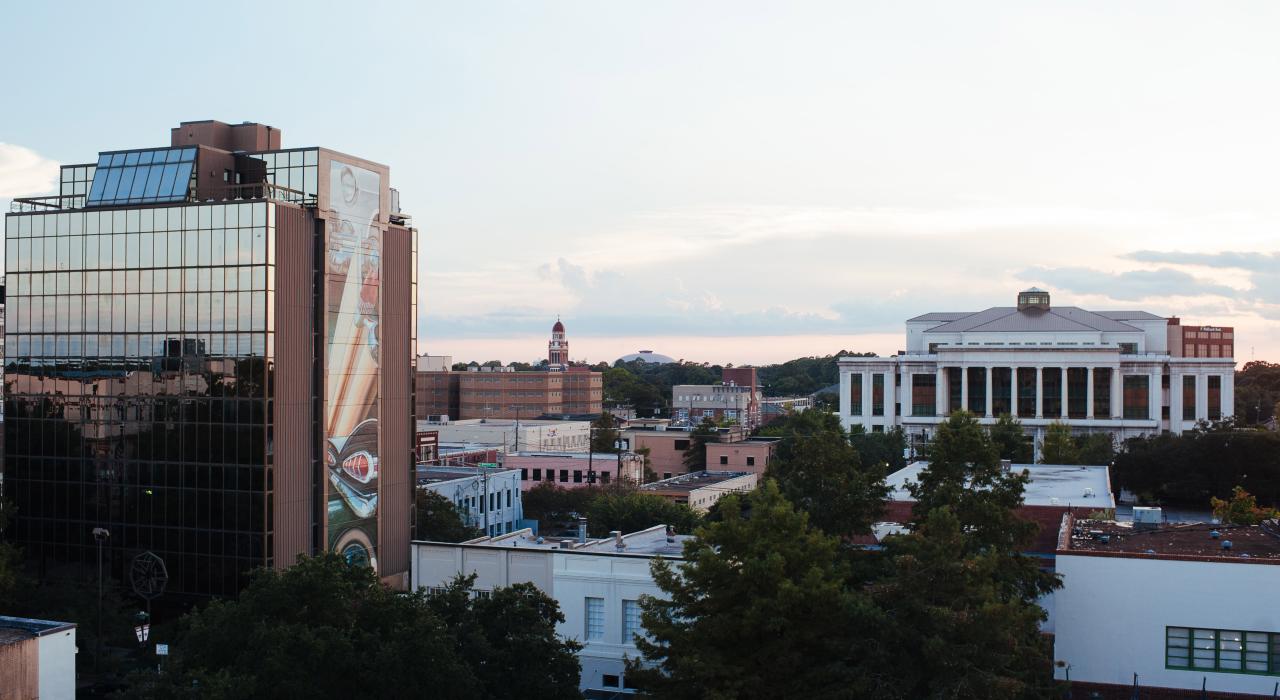 Treetop view of Downtown Lafayette