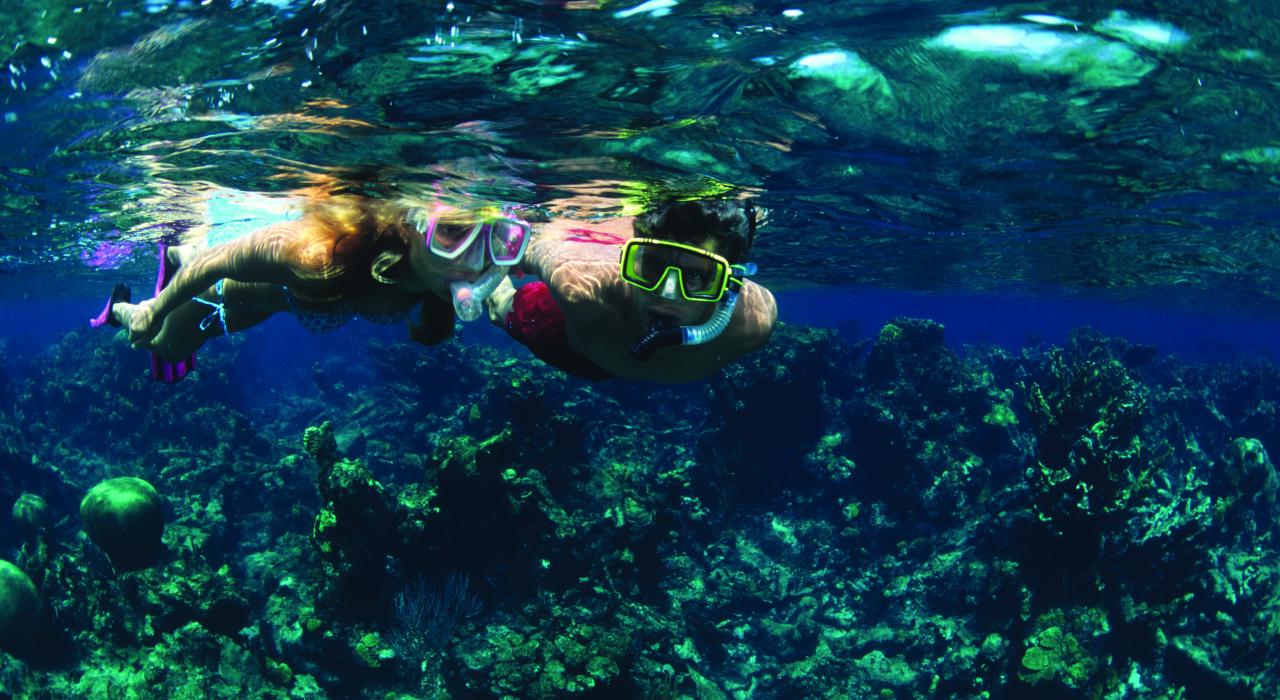 Snorkeling over a coral reef