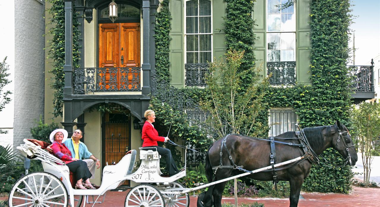 Sightseeing via a horse-drawn carriage ride  Sightseeing via a horse-drawn carriage ride