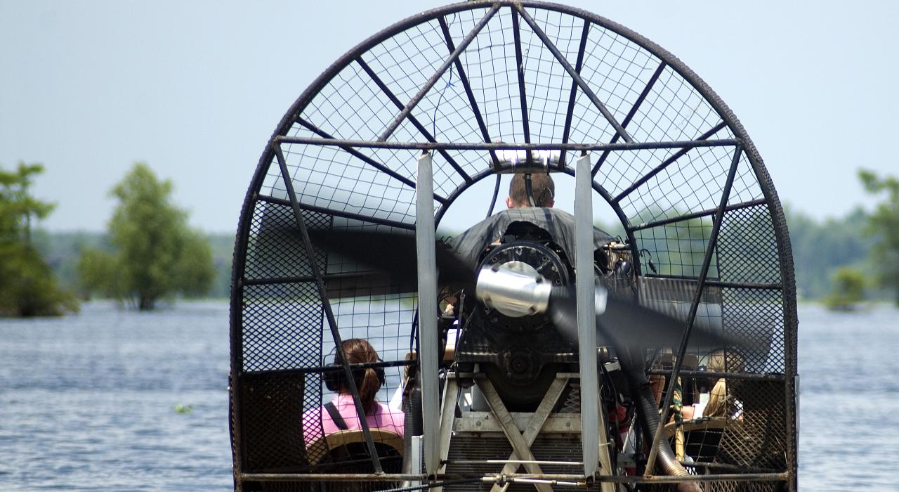 An airboat ride through the Atchafalaya Basin