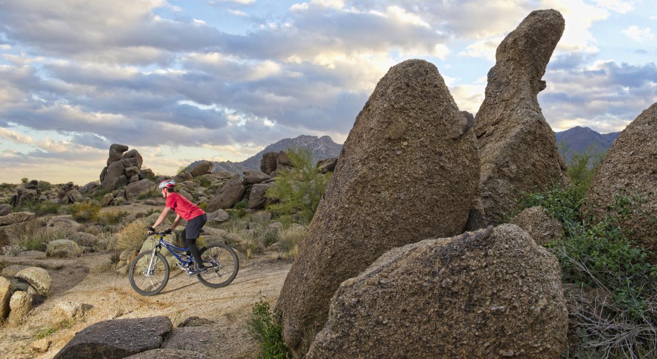 在崎嶇小徑上騎登山自行車