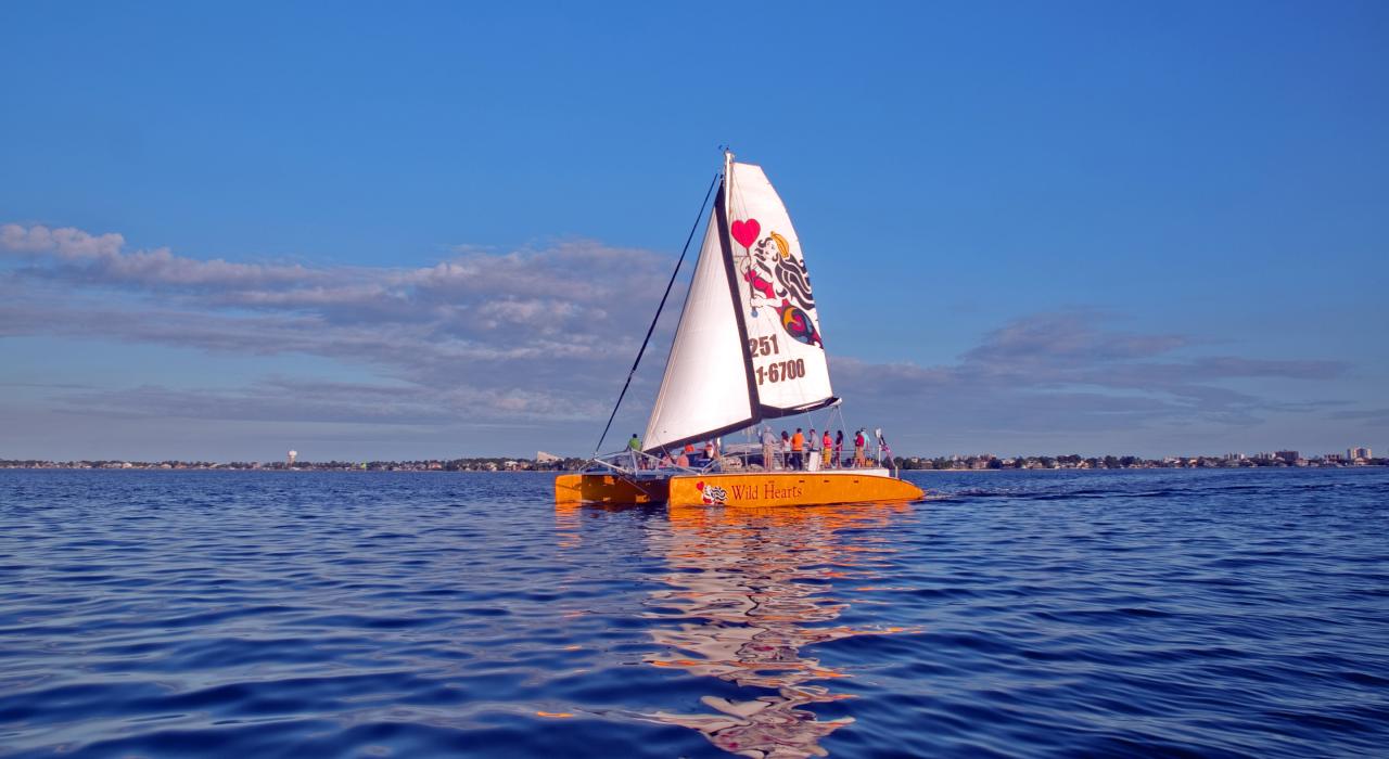 Sailing the coast aboard the Wild Hearts catamaran