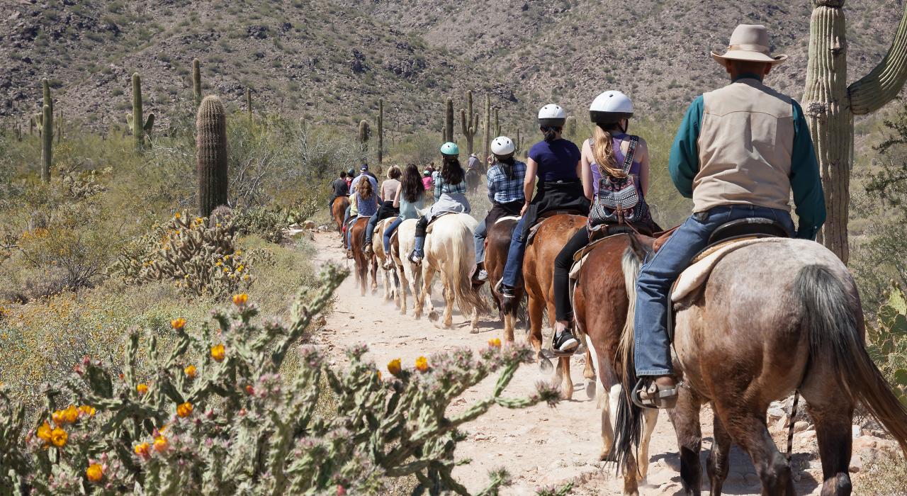 騎馬穿越索諾蘭沙漠