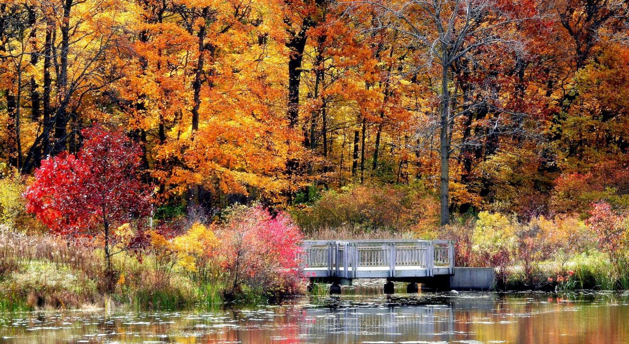 萊克縣火紅的秋季