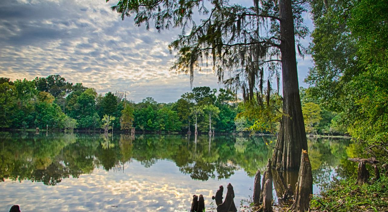 The sun setting over LeFleurs Bluff