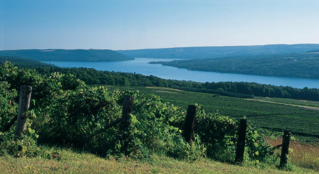 從酒莊俯瞰漢蒙斯伯特的庫卡湖