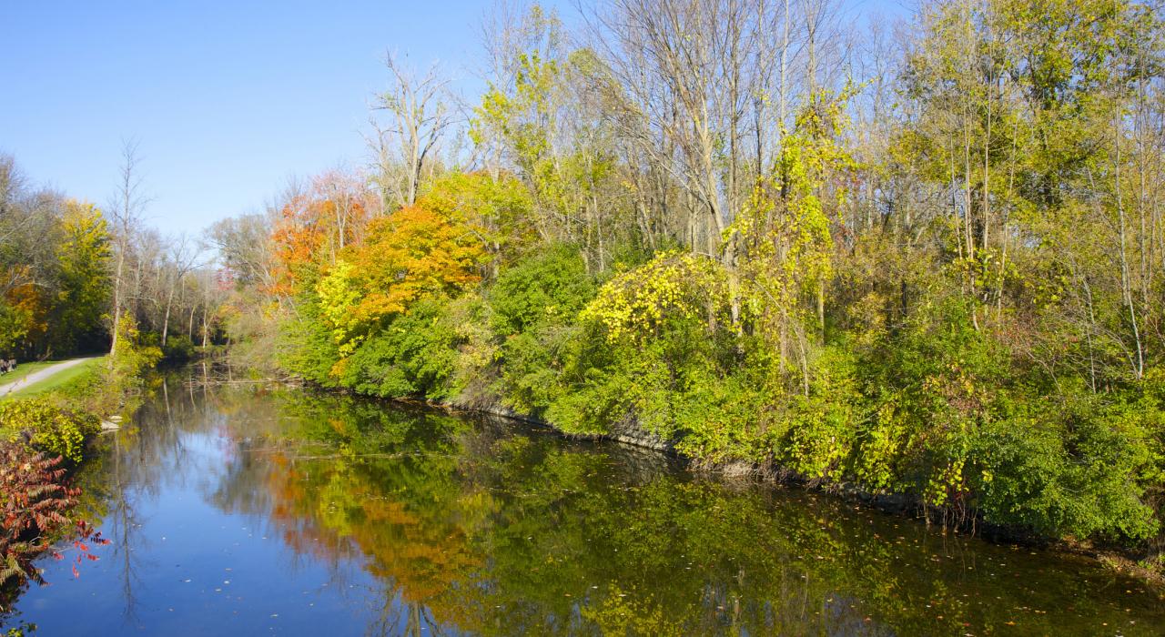 晴朗午後的伊利運河遊