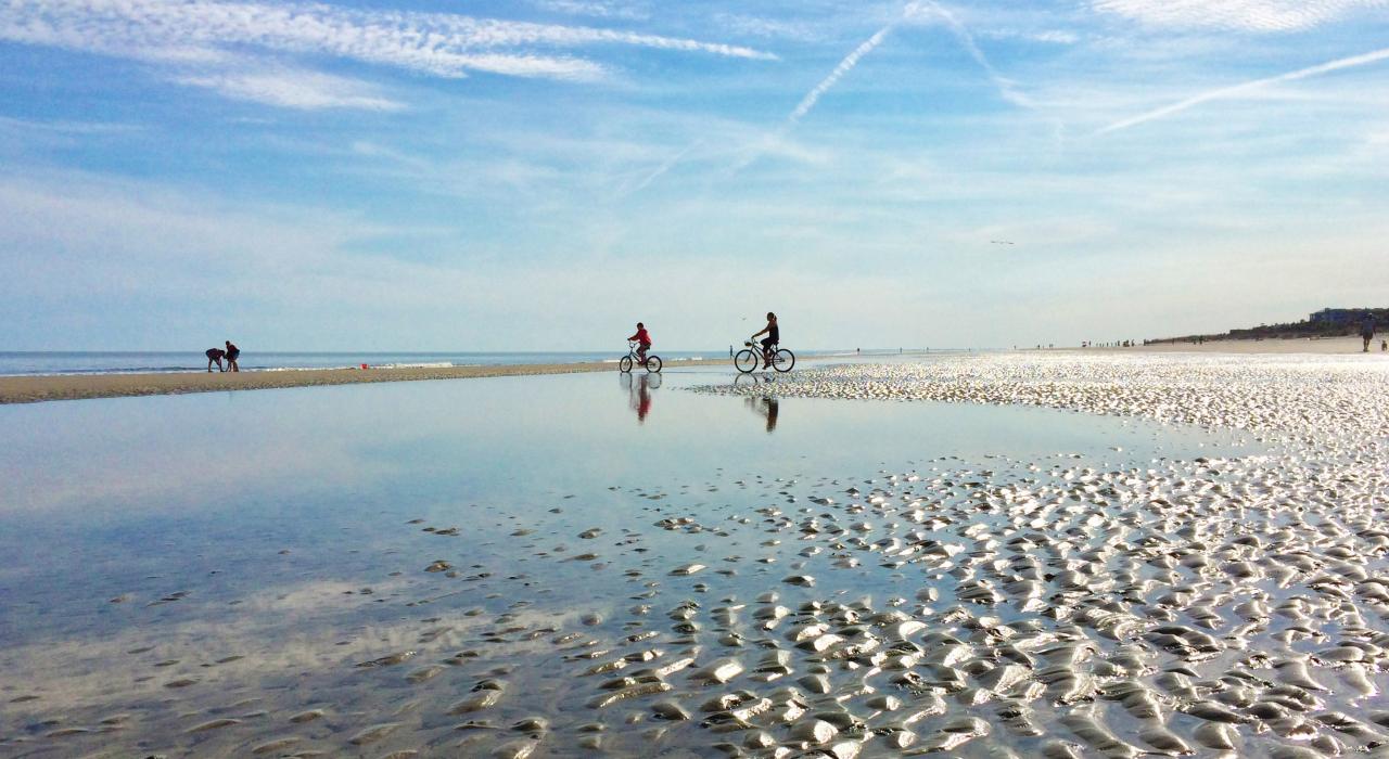 Bicycling on the beach at low tide