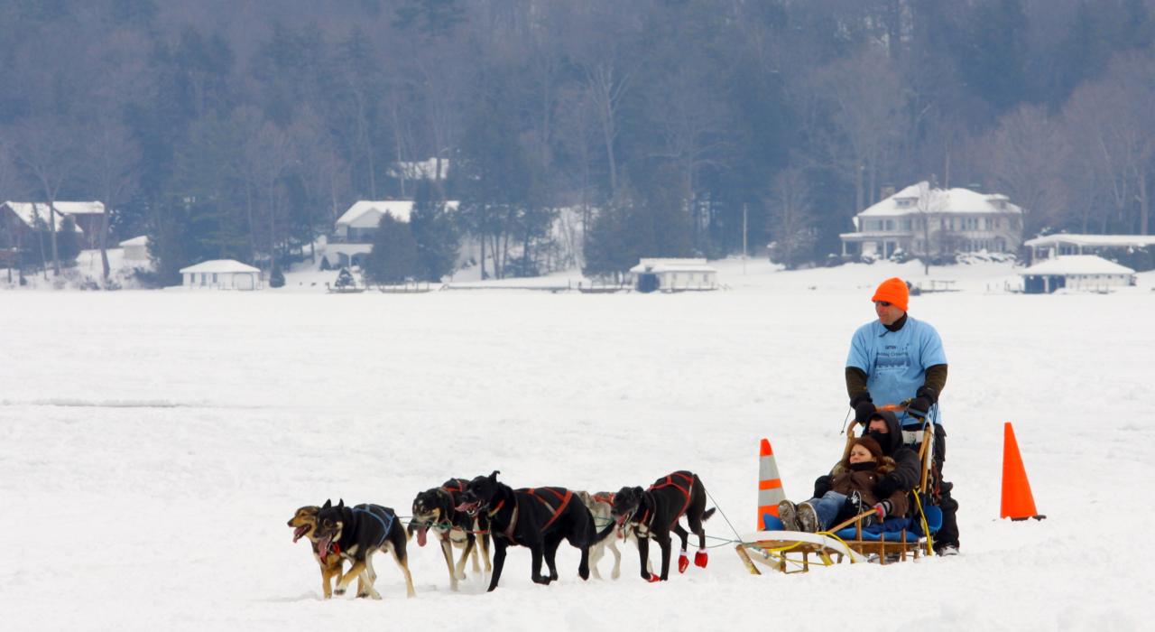 喬治湖上的狗拖雪橇樂
