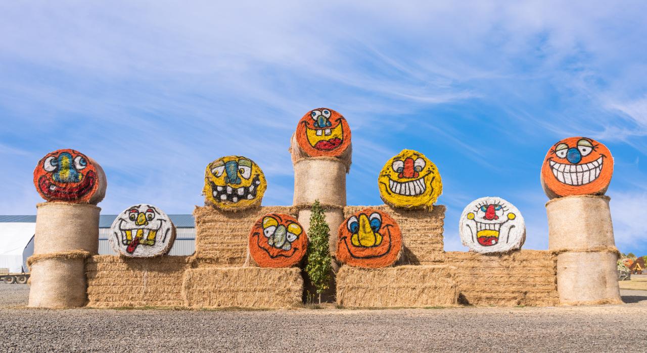 Funny faces for Halloween on a pumpkin farm in Salem