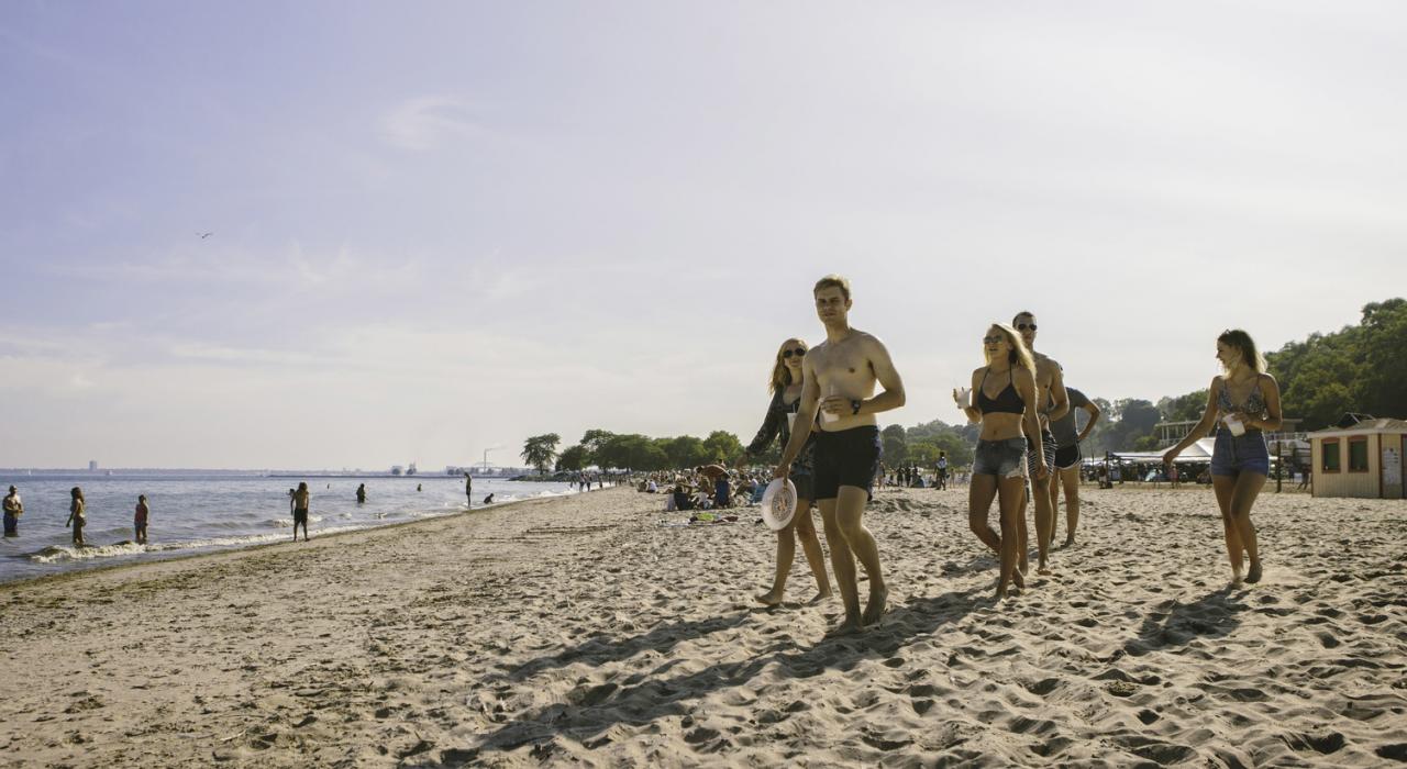 布拉福德海灘上的愉快午後 布拉福德海灘上的愉快午後