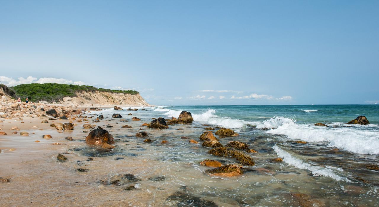 豪宅海灘北面東部海岸浪濤拍岸的景色