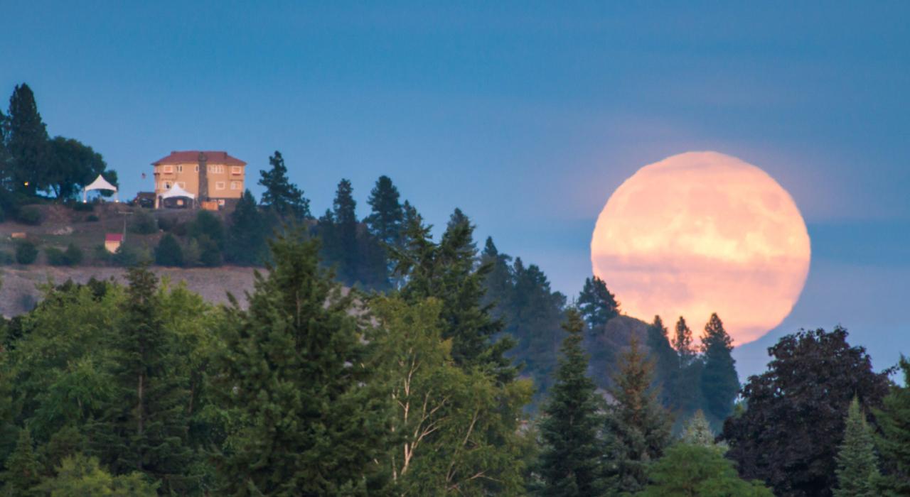 Moonrise over Arbor Crest Wine Cellars Moonrise over Arbor Crest Wine Cellars