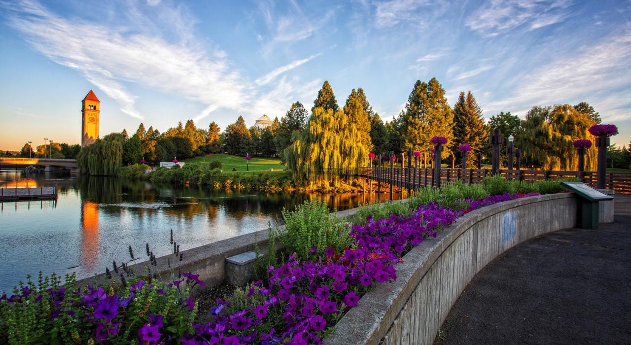Flowers blooming on a sunny day in Riverfront Park Flowers blooming on a sunny day in Riverfront Park
