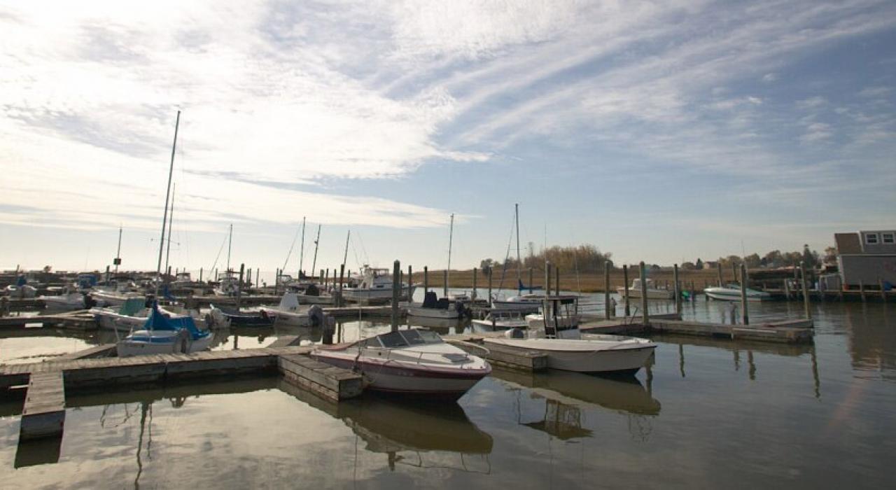 布蘭福德海岸線上寧靜祥和的碼頭風景
