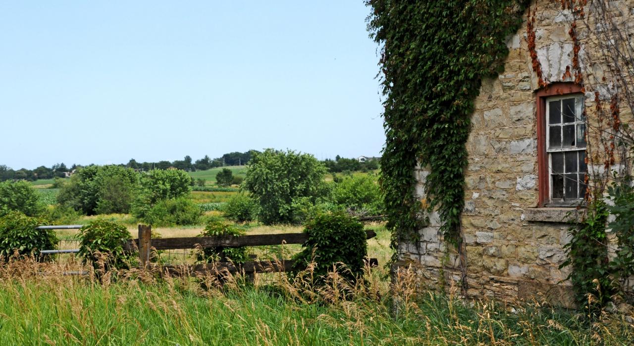 鄉間的古老石灰岩穀倉垂掛常春藤