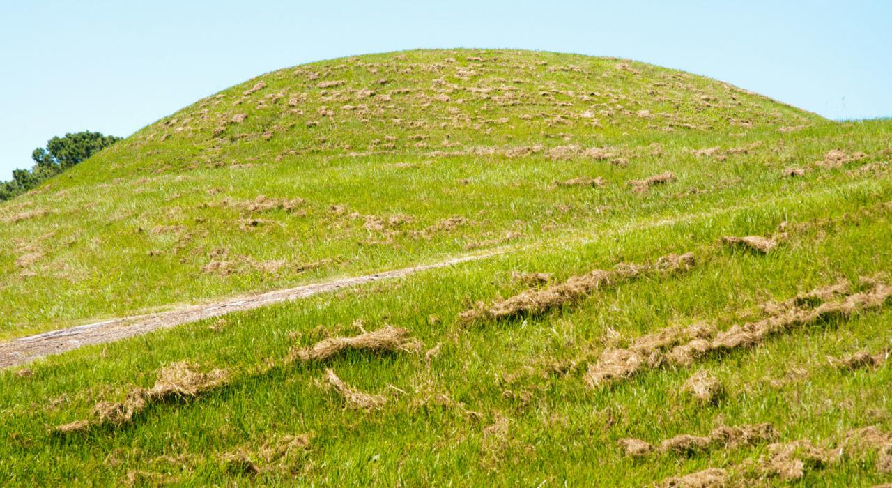 密西西比州納奇茲東北部的翡翠丘遺址