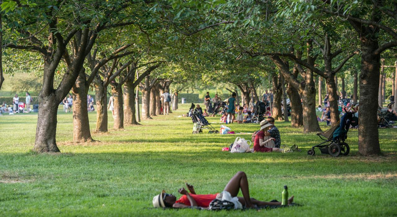 在布魯克林植物園的樹蔭下放鬆身心