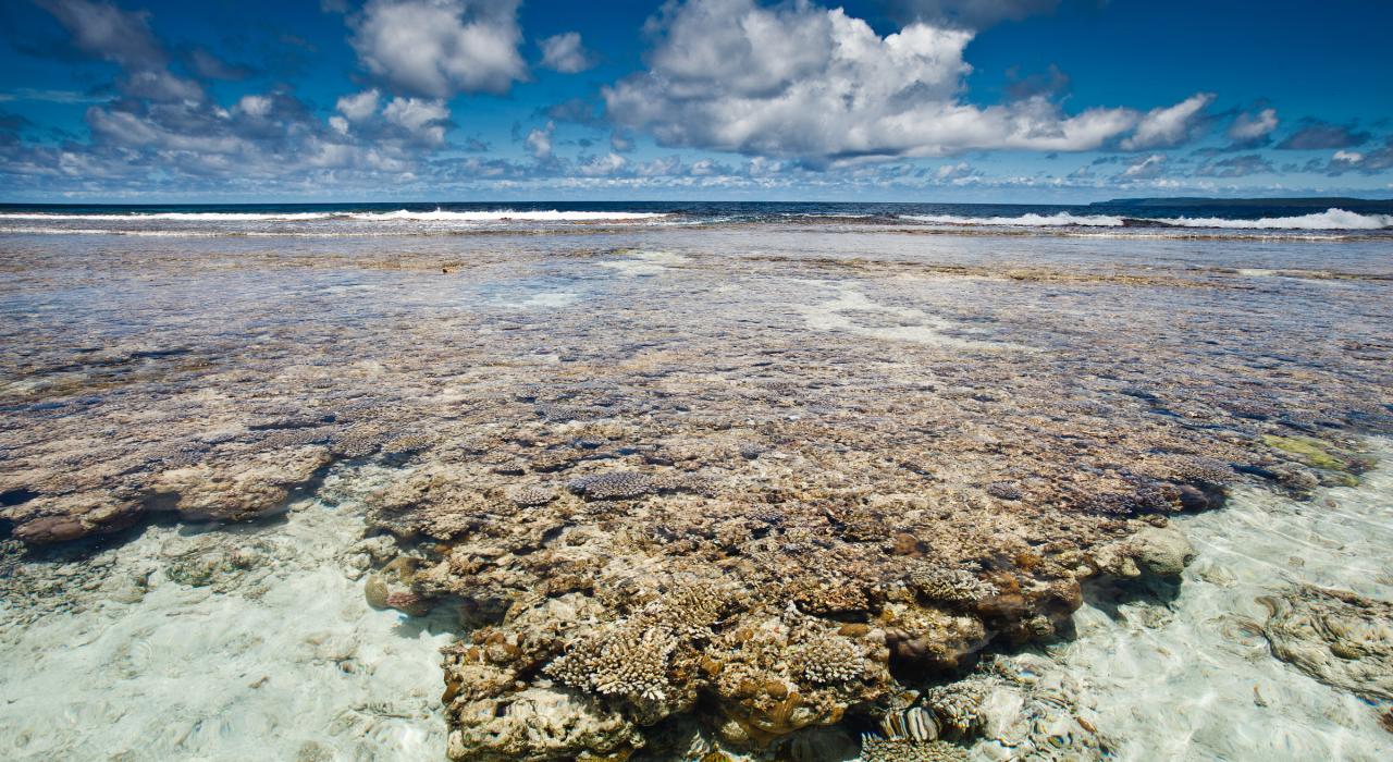 Cave Diving at the Grotto and Kalaberca