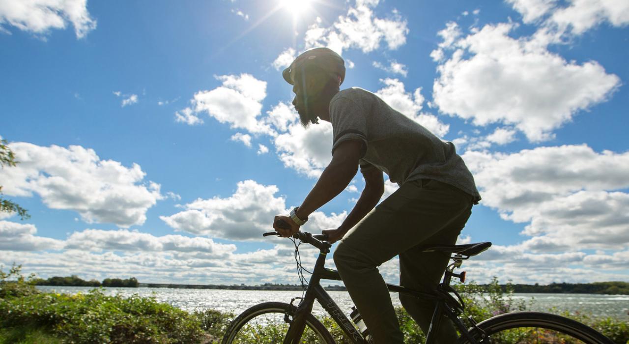 陽光下的單車行