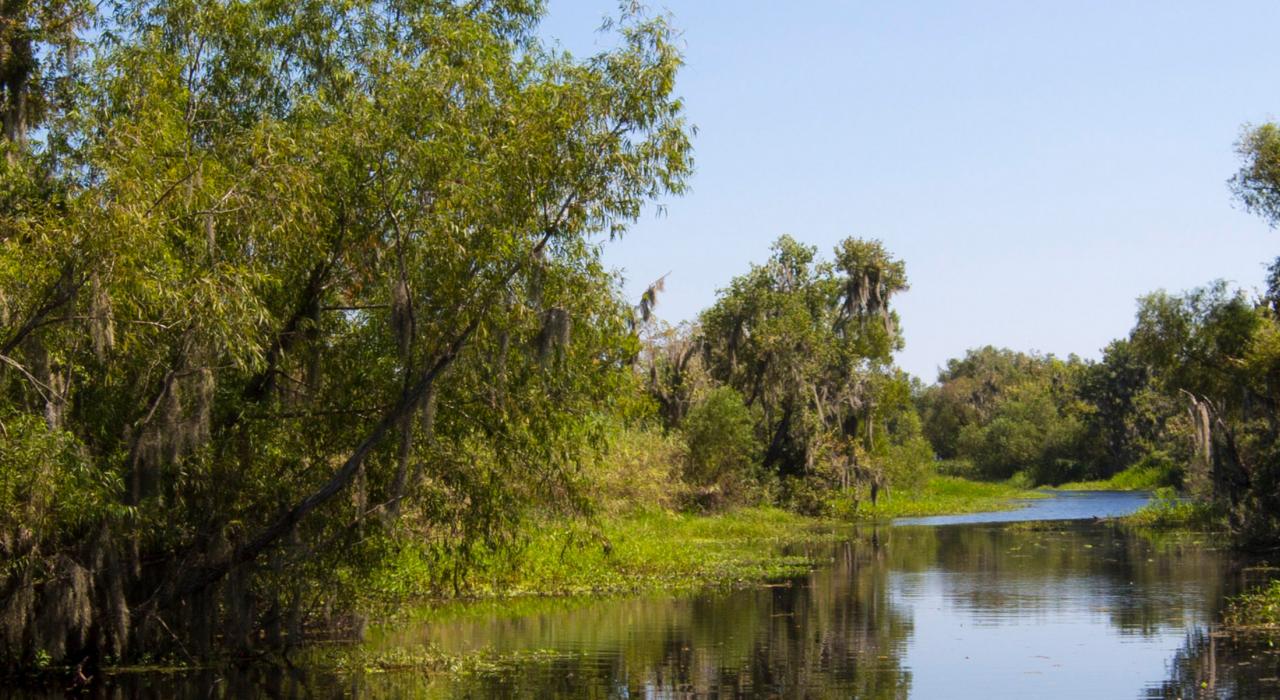 拉佛謝河口蜿蜒的水道