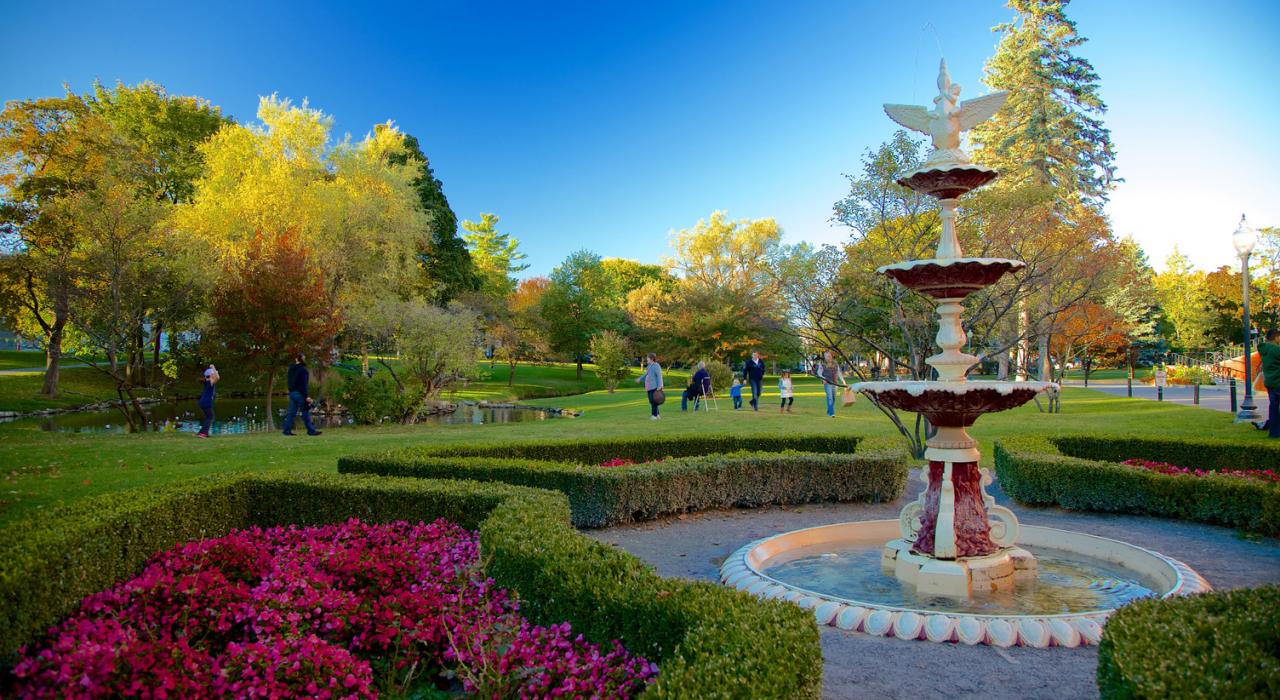 國會公園的繽紛花朵與朝氣蓬勃的氣氛 國會公園的繽紛花朵與朝氣蓬勃的氣氛