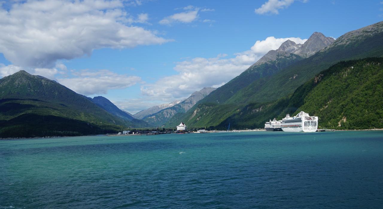 Day Trip: A Wildlife Cruise Day Trip: A Wildlife Cruise
