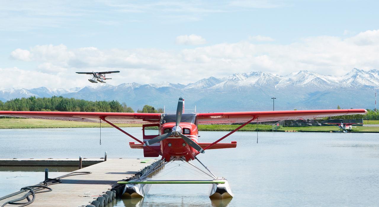 See Enormous Brown Bears in the Wild: Katmai National Park See Enormous Brown Bears in the Wild: Katmai National Park