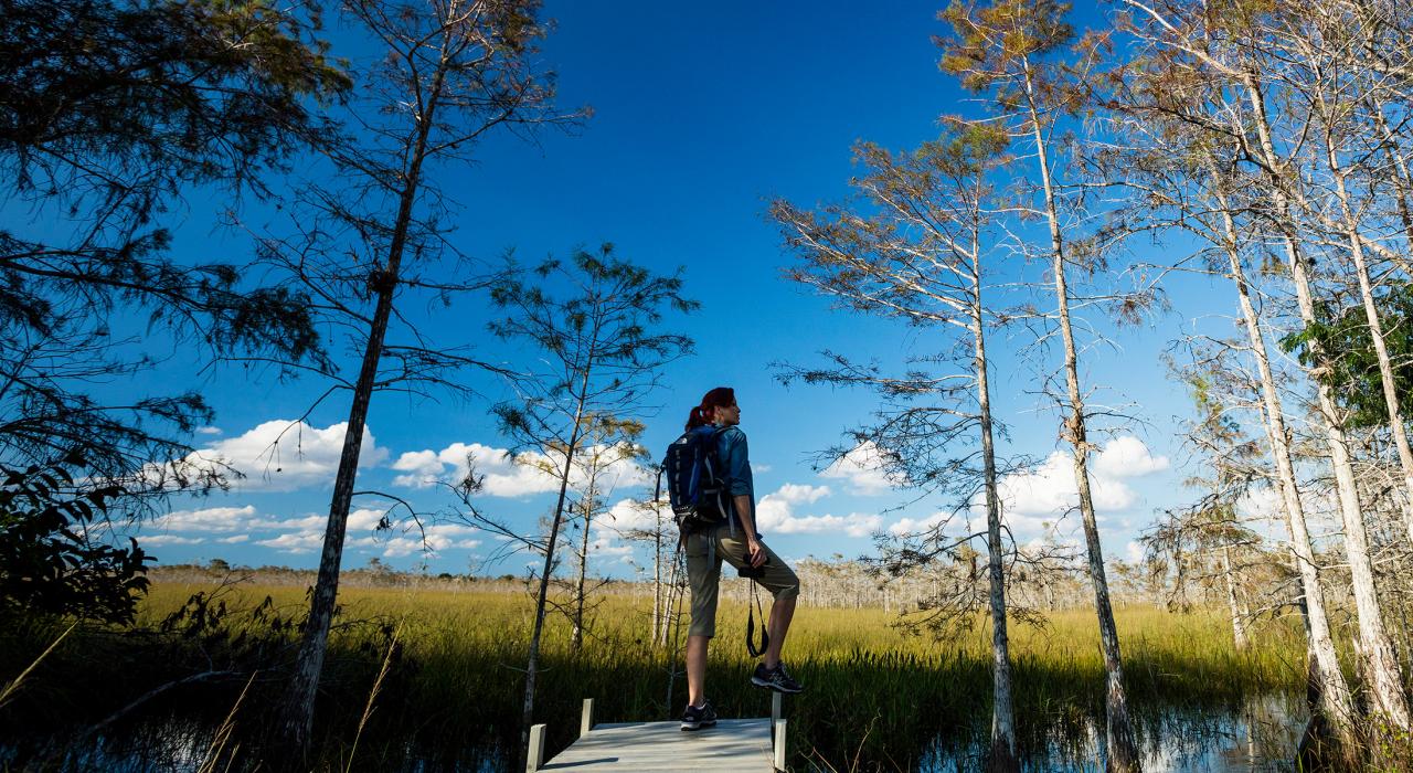 在大沼澤地的獨特水景環抱下悠閒沉思