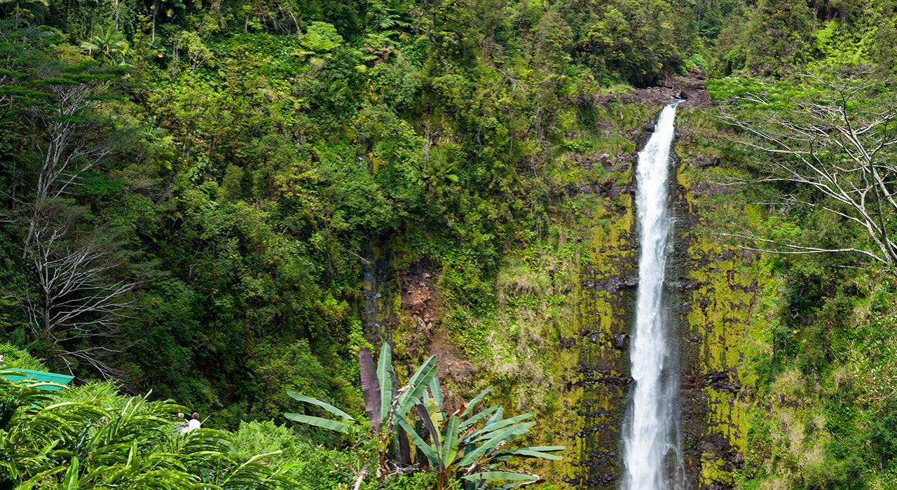 The 135-meter-tall cascade at ʻĀkaka Falls State Park in Hilo, Hawaiʻi