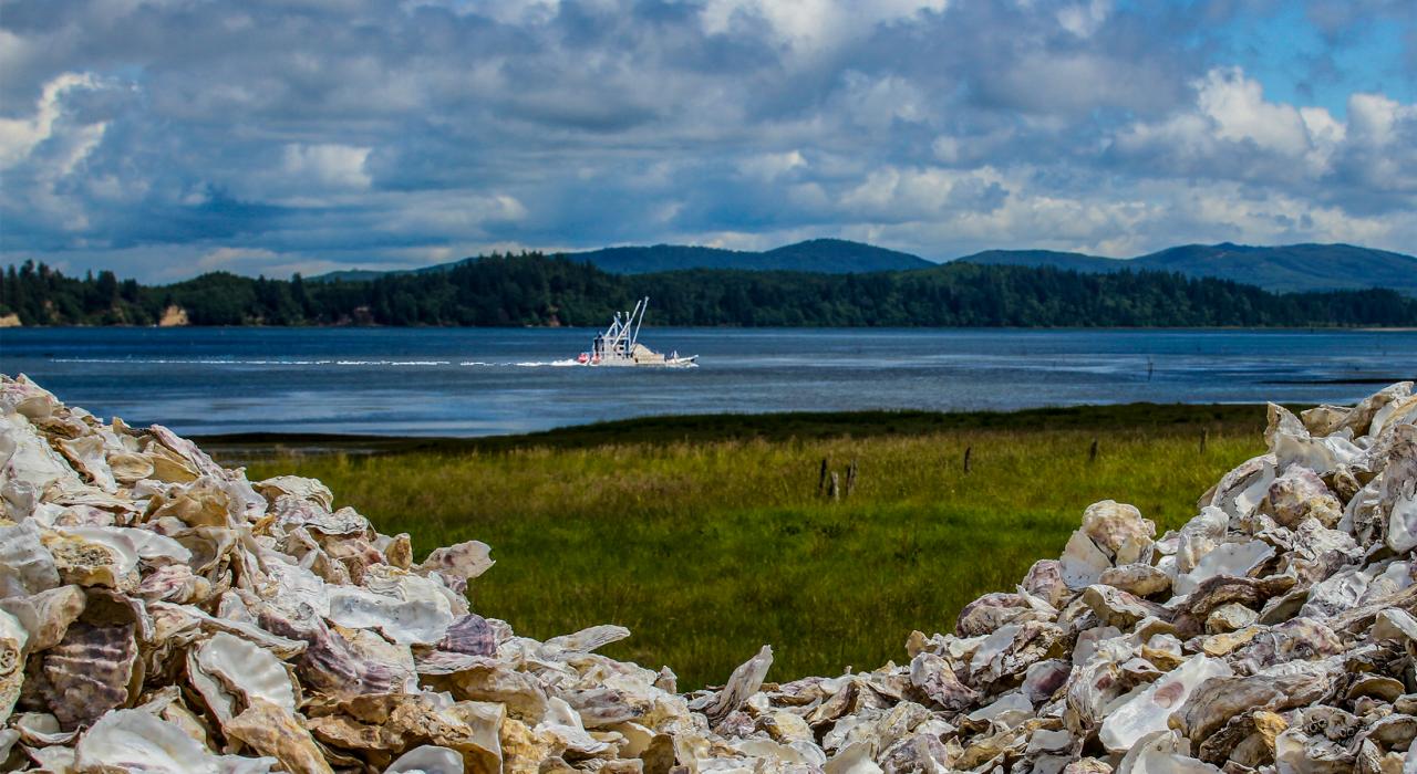 在恰如其名的奧伊斯特維爾村莊遠眺威拉帕灣