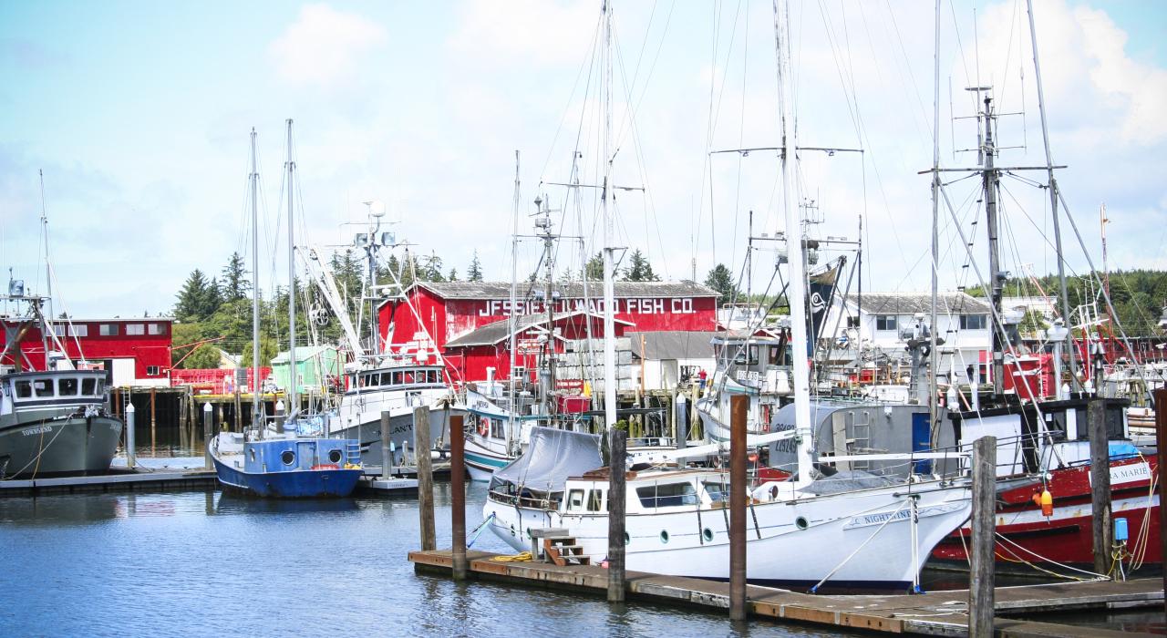 釣魚小鎮伊爾沃科港寧靜的碼頭