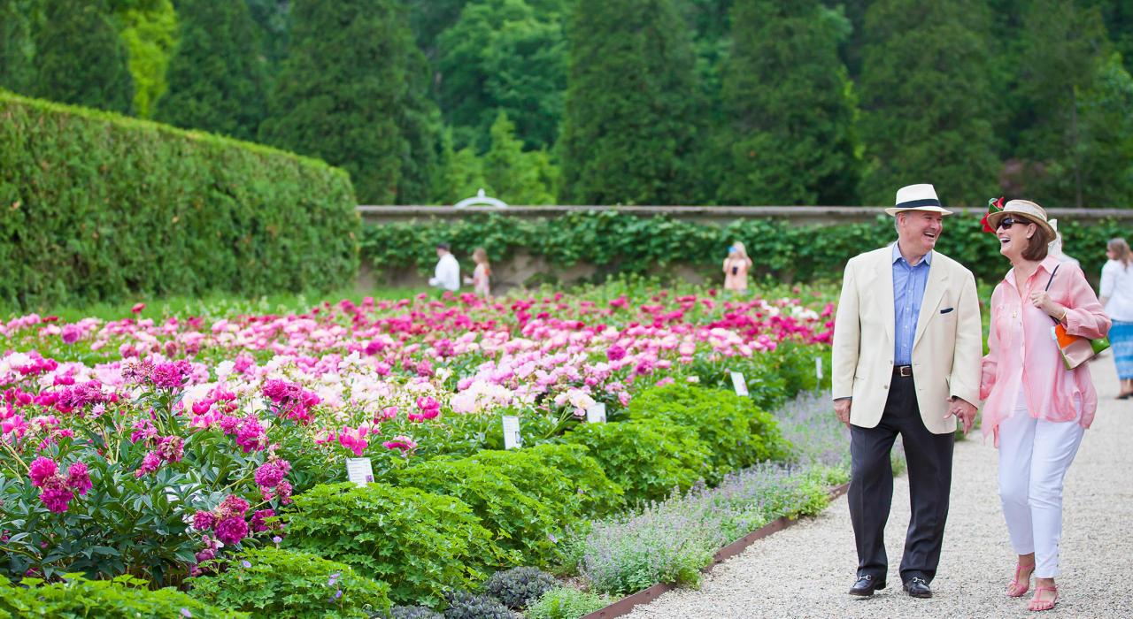 阿勒頓公園度假中心裡修剪整齊的花園