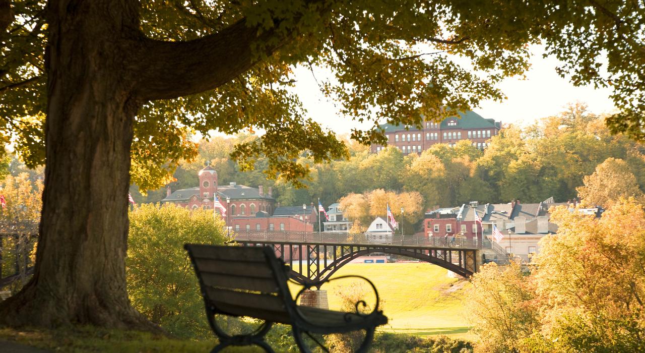 The changing of leaves in town during autumn